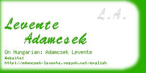 levente adamcsek business card